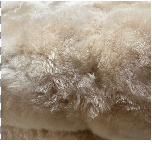 Das Blanket beim Alpaka: Warum Rückenfasern so begehrt sind