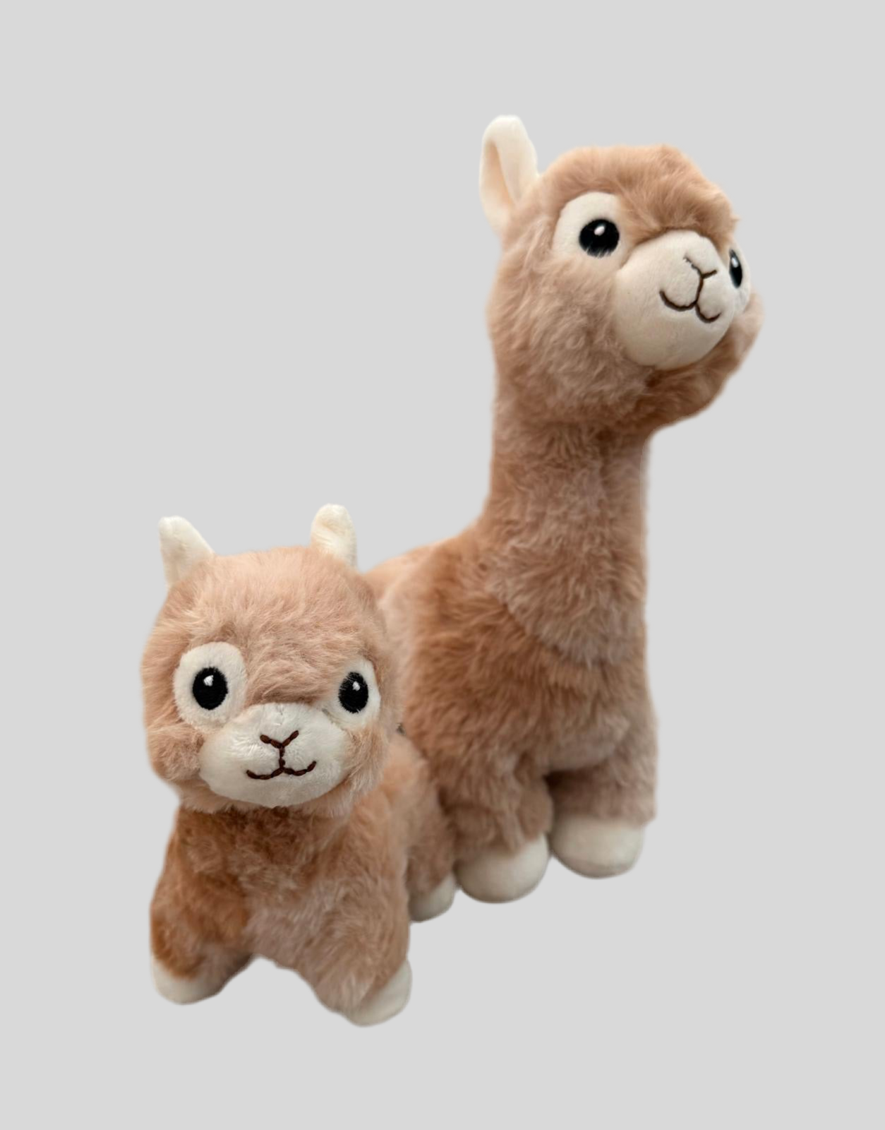 Alpaka Tiere